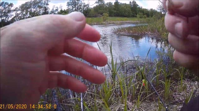 Карась в мае . смотреть онлайн