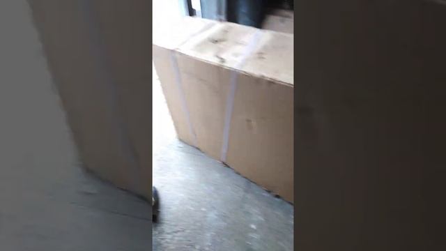 sigma sport смотреть онлайн