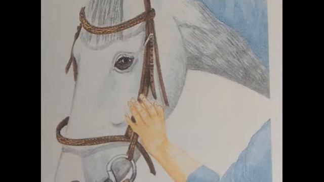 Все о Лошадях. Уздечка для лошади. смотреть онлайн