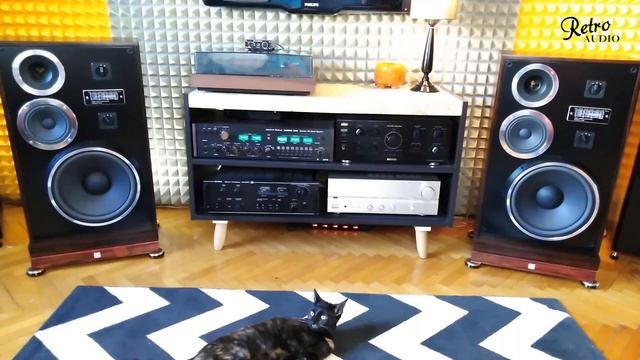 Cat listening music on Tonsil Unitra ZG 80C 115 смотреть онлайн