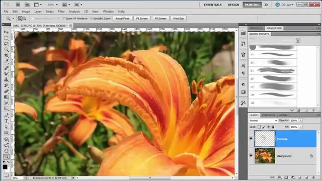 Photoshop Paint Over Flower смотреть онлайн