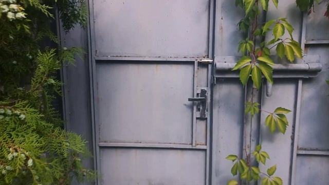 г. Счастье, Луганская область, велопрогулка 2020г. смотреть онлайн