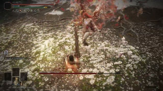 Fighing Malenia Every Day Until Elden Ring DLC Trailer Comes Out - Day 110 смотреть онлайн