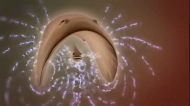 О нападениях электрического ската (electric ray) смотреть онлайн