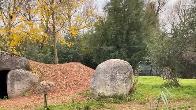 Chester Zoo Tour (October 2021) Part 2 смотреть онлайн