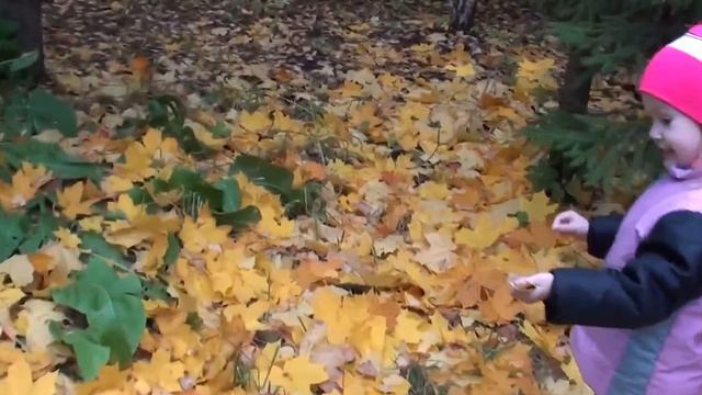 СКАЗКА как ёжик в лесу потерялся. Изучаем деревья, листья деревьев. Видео для детей смотреть онлайн