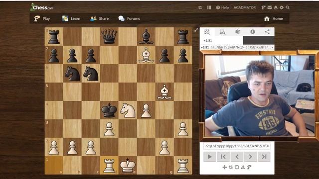 An amazing king-hunt game (Modern Scandinavian) смотреть онлайн