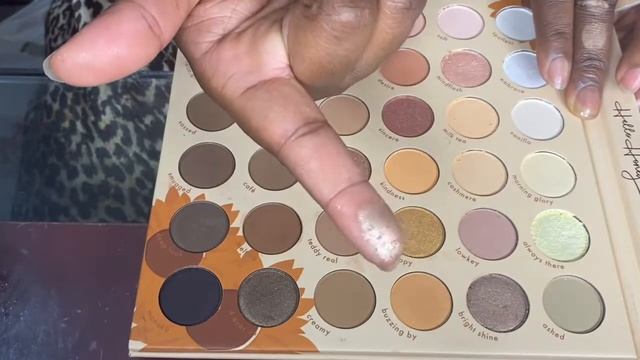 PALETTE SWATCHES- HELLO HONEY From KARA BEAUTY