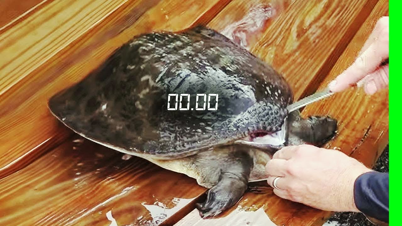 Самые Быстрые Рекорды в Мире ✅ смотреть онлайн