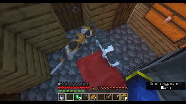 развожу котиков в майнкрафт смотреть онлайн