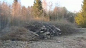 Как вывозить и утилизировать ветки с участка.