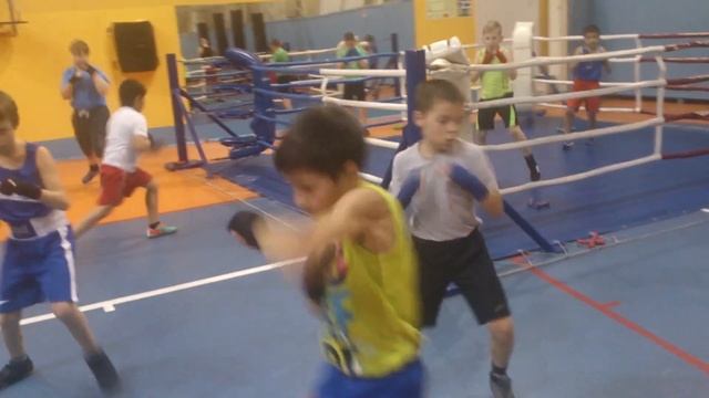 Бой с тенью группа 17.00 смотреть онлайн