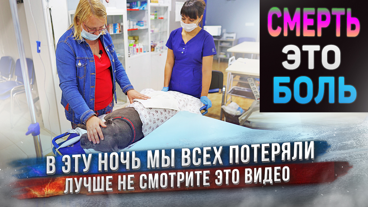 Всё очень плохо...? смотреть онлайн
