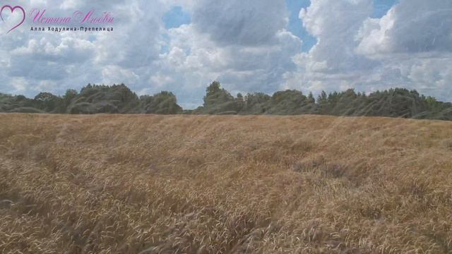 Что мы притягиваем в свою жизнь благодаря нашим мыслям, мыслеформе. смотреть онлайн