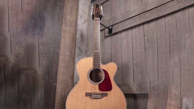 12-String Acoustic Guitar : Can I Try Once from here? смотреть онлайн