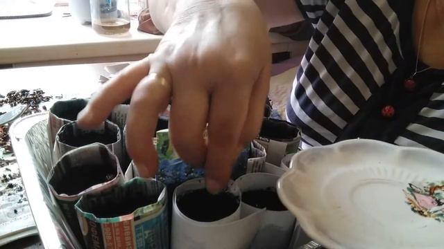 Сею лобелию смотреть онлайн