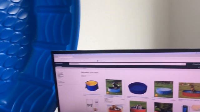 Бассейн для собак смотреть онлайн
