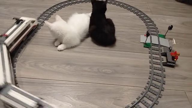 Снежок и Зина смотрят на LEGO поезд 02010 смотреть онлайн