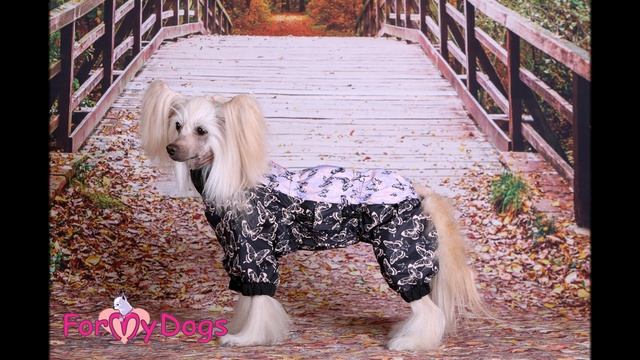 Одежда для собак/Дождевики Весна 2021/ ForMyDogs/Китайская хохлатая смотреть онлайн
