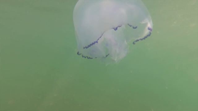 Бесплатные стоянки в Крыму у моря для автодома. Кемпинг в Крыму на авто путешествие по пляжам смотреть онлайн