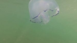 Бесплатные стоянки в Крыму у моря для автодома. Кемпинг в Крыму на авто путешествие по пляжам