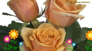 Роза чайно-гибридная Голден Мустард. Краткий обзор, описание характеристик rosa Golden Mustard