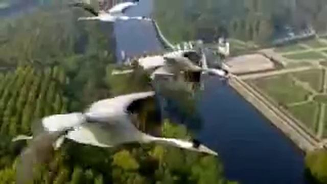 день журавля смотреть онлайн