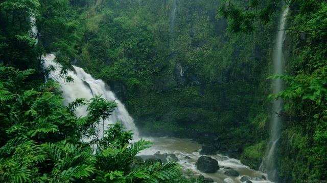 Música para Dormir com Som de Chuva e Natureza - Relaxar e Acalmar a Mente смотреть онлайн