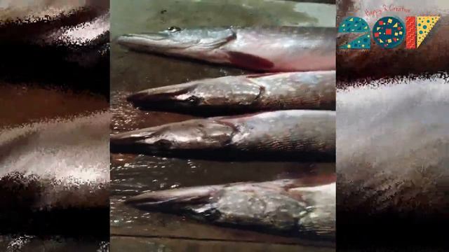 Ловля щуки весной Сезон открыт Жор Щуки весной смотреть онлайн