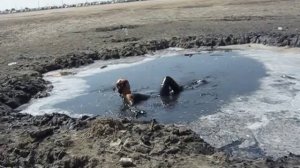 РЖАЧ,ЧУВАКИ В ГРЯЗИ,СМОТРЕТЬ ВСЕМ!!!!!!!АХАХАХ!