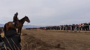 Чаатыга аът чарыжы. Апрель 14, 2018  Хараар-Тей