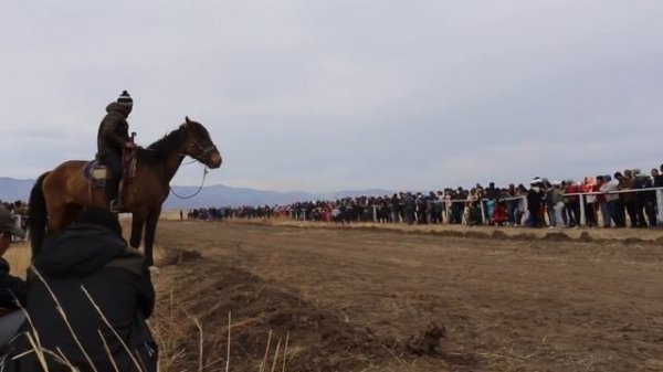 Чаатыга аът чарыжы. Апрель 14, 2018  Хараар-Тей