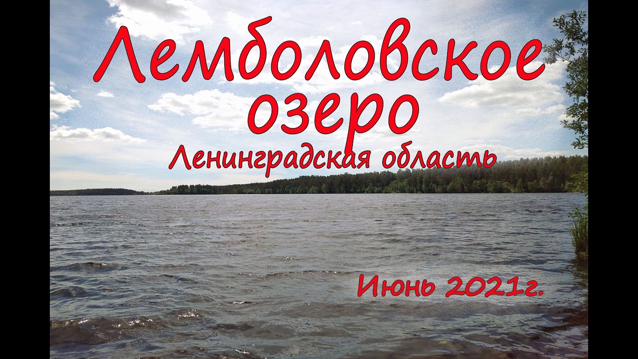 Лемболовское озеро. Июнь 2021г. Лучшее место отдыха. Теперь оно одно из любимых наших озёр. смотреть онлайн