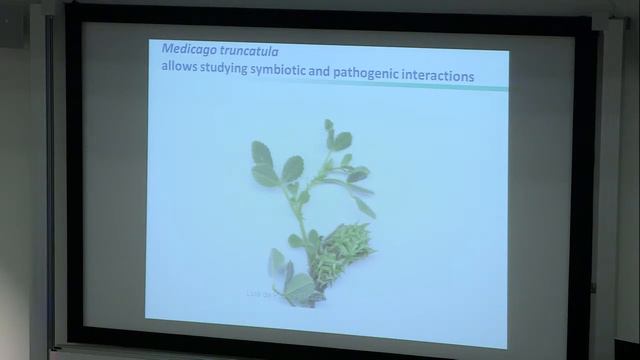 SEBASTIAN SCHORNACK. MECHANISMS OF PLANT COLONISATION BY PATHOGENIC AND SYMBIOTIC MICROBES смотреть онлайн