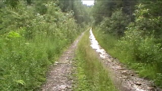 В конце лета (природа Кузбасса), август - 2013 смотреть онлайн