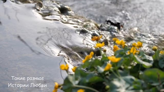 Никто не пришёл на похороны бедной бабушки, а через полгода пришло время вступать в наследство... смотреть онлайн