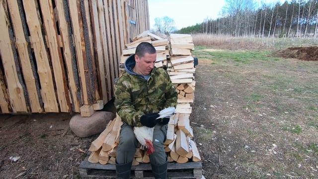 #51. Обрезаем курам крылья. Делаем теплые грядки. [Жизнь на своей земле] смотреть онлайн