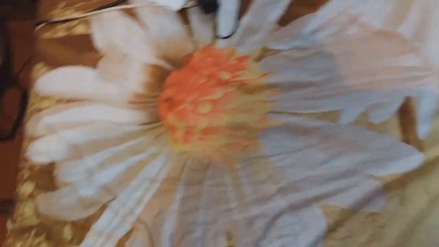 Покушала,довольная лежу. Влог Lizzi Show. смотреть онлайн