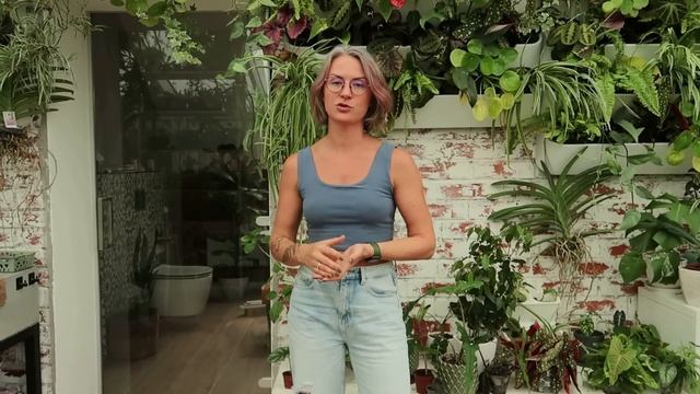 ПАУТИННЫЙ КЛЕЩ НА РАСТЕНИЯХ смотреть онлайн