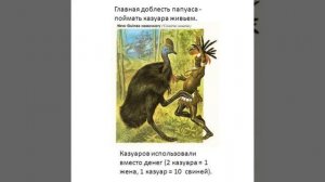 ШЛЕМОНОСНЫЙ КАЗУАР