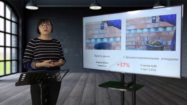 КАРТОФЕЛЬ - выращиваем без садовой химии. Видеолекция смотреть онлайн