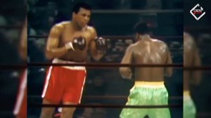 Бой века! Мухаммед Али - Джо Фрейзер 1 (1971)