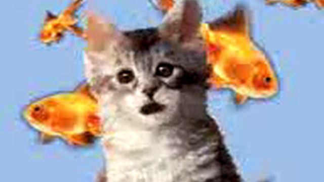 Кіт Мурчик Співає/ Котяча ПІсенька смотреть онлайн