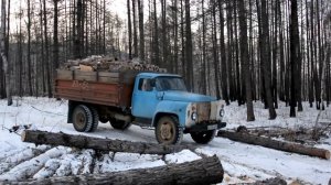 ГАЗ 53 по лесу с дровами(листвениица)