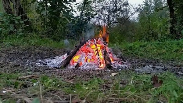 Bonfire Sound, Firewood Crackle and Forest Nature Sounds