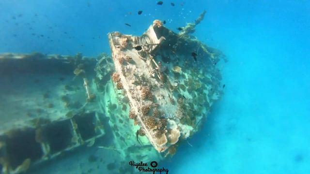Vaavu Shipwreck, Keyodhoo Shipwreck, Shipwreck in Maldives #shipwrecked #maldives #vaavuAtoll #Vaav смотреть онлайн