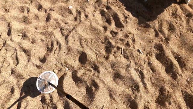 С МЕТАЛЛОИСКАТЕЛЕМ НА ПЛЯЖЕ БУДВЫ! ПЛЯЖНЫЙ ПОИСК В ЧЕРНОГОРИИ! СКОЛЬКО ЗАРАБОТАЛ ЗА 1 ЧАС смотреть онлайн