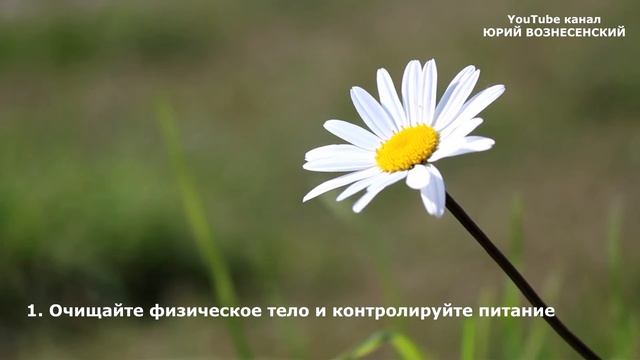 5 ШАГОВ К ОСОЗНАННОЙ ЖИЗНИ | ЭТО ПОМОЖЕТ ВАМ ПРИ ПЕРЕХОДЕ смотреть онлайн
