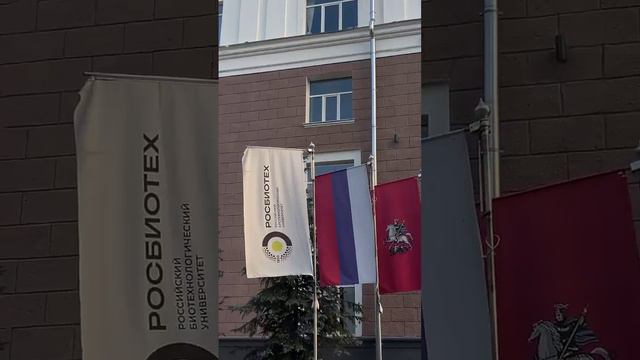 🔓 Новые впечатления: разблокировано смотреть онлайн