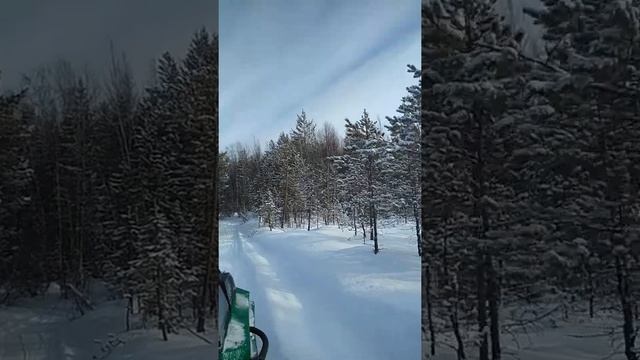 Ростин БК смотреть онлайн